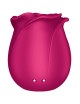 Stimulateur clitoridien Satisfyer Pro 2 Classic Blossom
