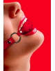 Gag Ball rouge - Ouch! 