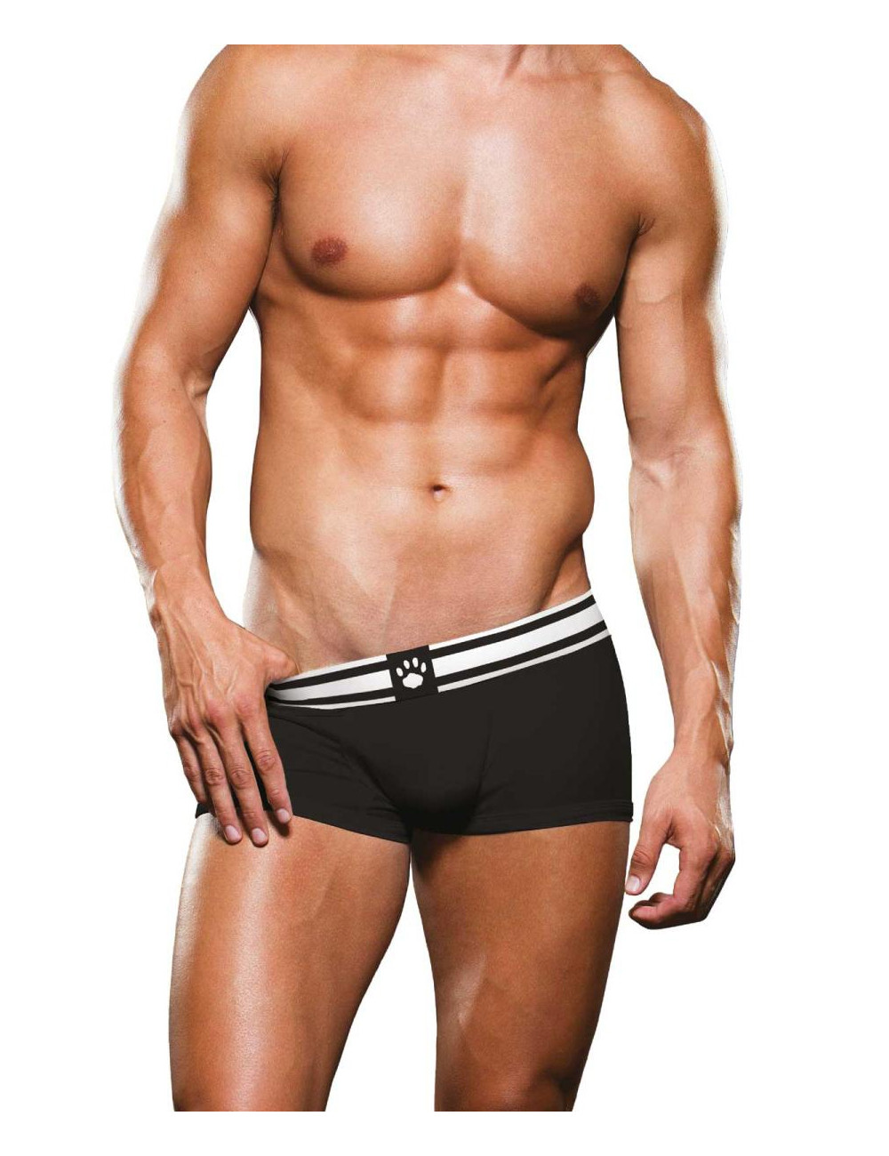 Boxer noir et blanc - Prowler